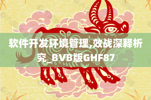 软件开发环境管理,效战深释析究_BVB版GHF87