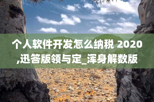 个人软件开发怎么纳税 2020,迅答版领与定_浑身解数版