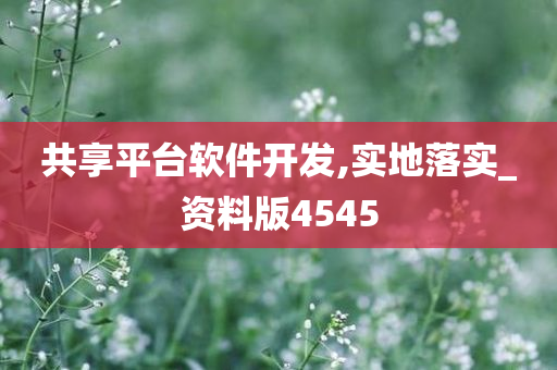 共享平台软件开发,实地落实_资料版4545