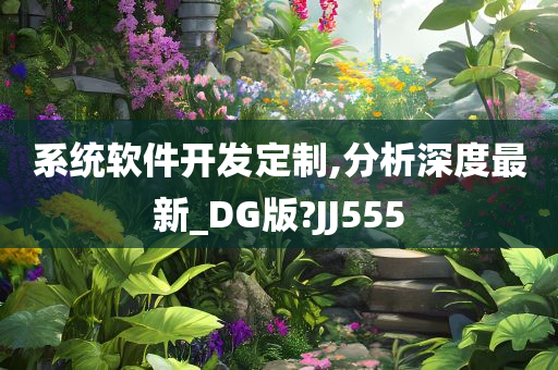 系统软件开发定制,分析深度最新_DG版?JJ555