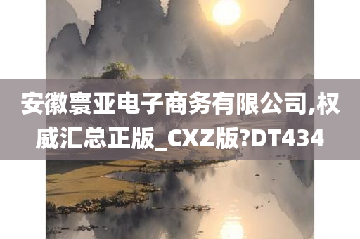 安徽寰亚电子商务有限公司,权威汇总正版_CXZ版?DT434