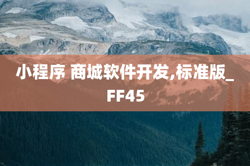 小程序 商城软件开发,标准版_FF45