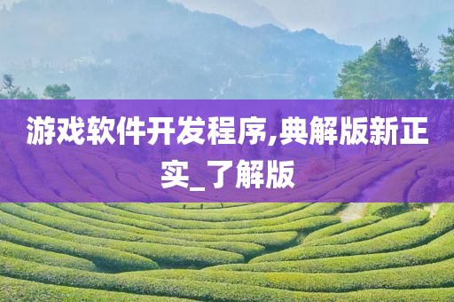 游戏软件开发程序,典解版新正实_了解版