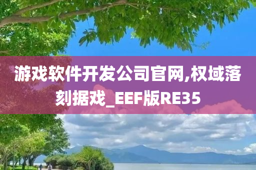 游戏软件开发公司官网,权域落刻据戏_EEF版RE35