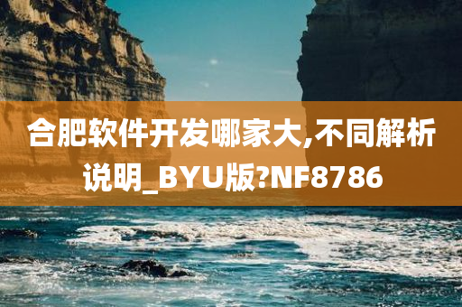 合肥软件开发哪家大,不同解析说明_BYU版?NF8786