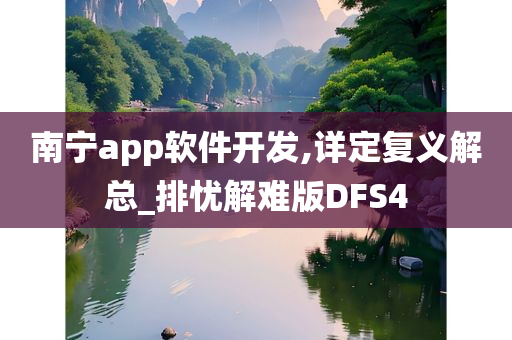 南宁app软件开发,详定复义解总_排忧解难版DFS4