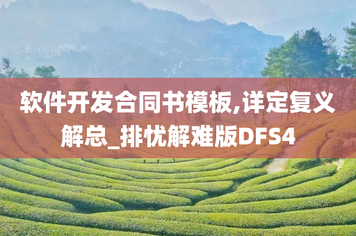 软件开发合同书模板,详定复义解总_排忧解难版DFS4