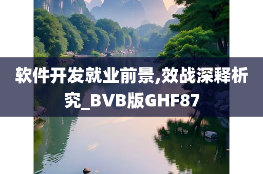 软件开发就业前景,效战深释析究_BVB版GHF87