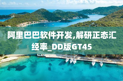 阿里巴巴软件开发,解研正态汇经率_DD版GT45