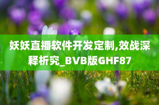 妖妖直播软件开发定制,效战深释析究_BVB版GHF87