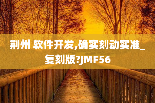 荆州 软件开发,确实刻动实准_复刻版?JMF56