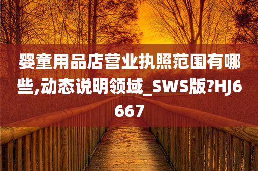 婴童用品店营业执照范围有哪些,动态说明领域_SWS版?HJ6667