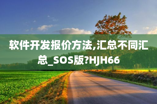 软件开发报价方法,汇总不同汇总_SOS版?HJH66