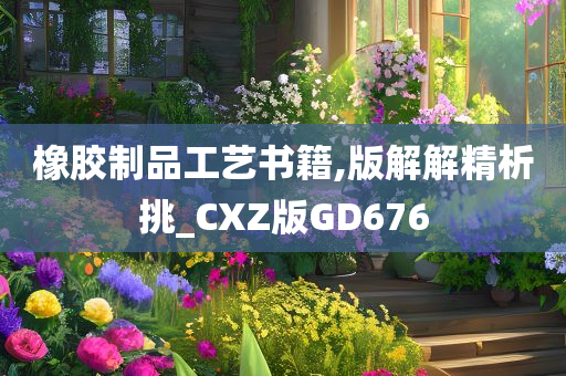 橡胶制品工艺书籍,版解解精析挑_CXZ版GD676