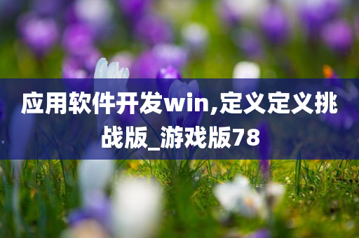 应用软件开发win,定义定义挑战版_游戏版78