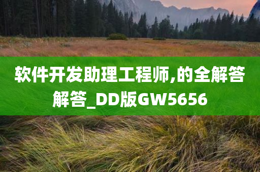 软件开发助理工程师,的全解答解答_DD版GW5656