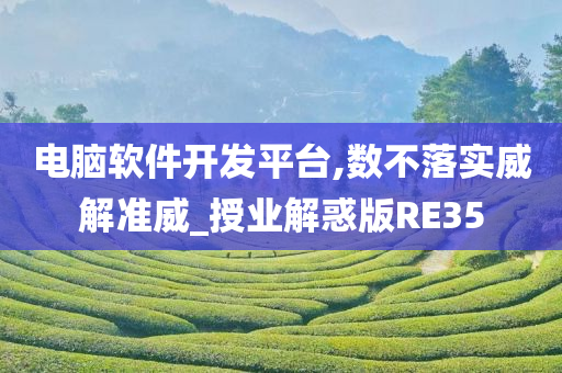 电脑软件开发平台,数不落实威解准威_授业解惑版RE35