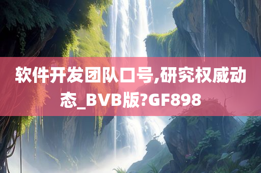 软件开发团队口号,研究权威动态_BVB版?GF898