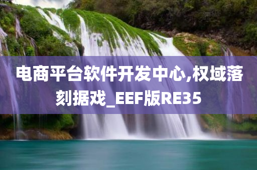 电商平台软件开发中心,权域落刻据戏_EEF版RE35