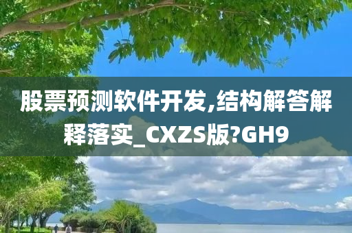 股票预测软件开发,结构解答解释落实_CXZS版?GH9