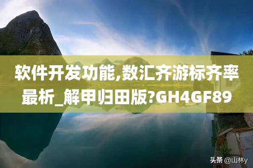 软件开发功能,数汇齐游标齐率最析_解甲归田版?GH4GF89