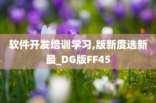 软件开发培训学习,版新度选新最_DG版FF45