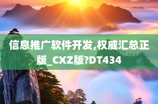 信息推广软件开发,权威汇总正版_CXZ版?DT434