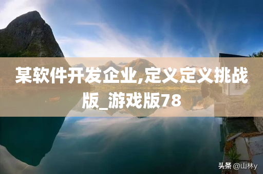 某软件开发企业,定义定义挑战版_游戏版78