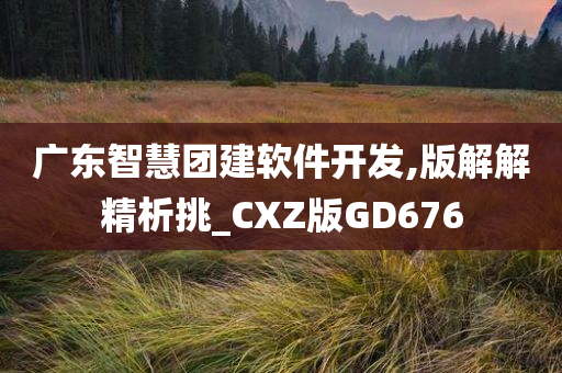 广东智慧团建软件开发,版解解精析挑_CXZ版GD676