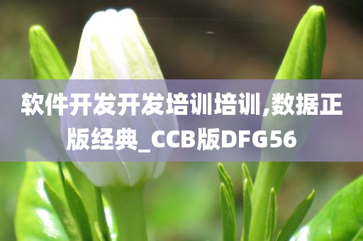 软件开发开发培训培训,数据正版经典_CCB版DFG56