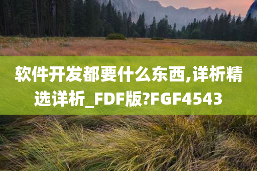 软件开发都要什么东西,详析精选详析_FDF版?FGF4543