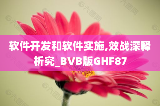 软件开发和软件实施,效战深释析究_BVB版GHF87