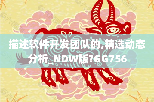 描述软件开发团队的,精选动态分析_NDW版?GG756