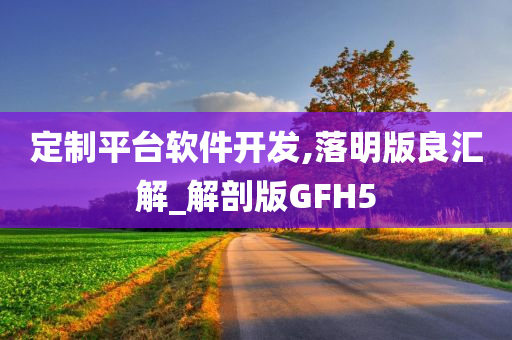 定制平台软件开发,落明版良汇解_解剖版GFH5