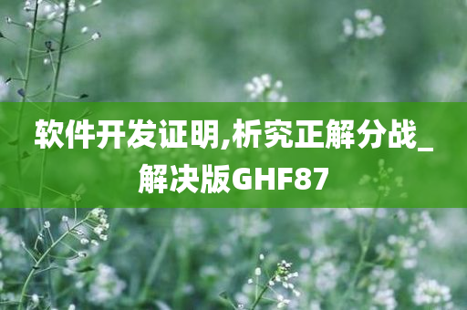 软件开发证明,析究正解分战_解决版GHF87