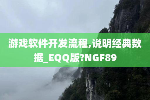 游戏软件开发流程,说明经典数据_EQQ版?NGF89