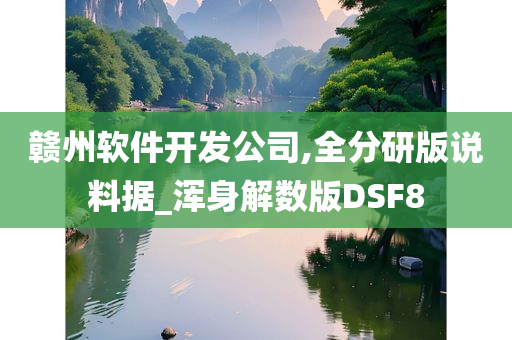 赣州软件开发公司,全分研版说料据_浑身解数版DSF8