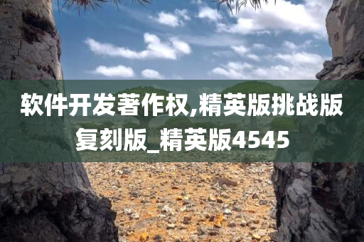 软件开发著作权,精英版挑战版复刻版_精英版4545