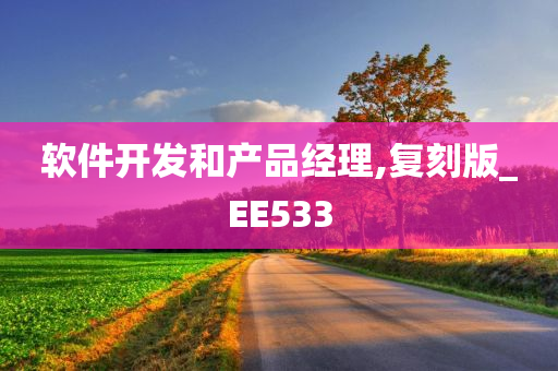 软件开发和产品经理,复刻版_EE533