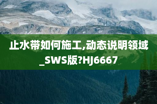 止水带如何施工,动态说明领域_SWS版?HJ6667