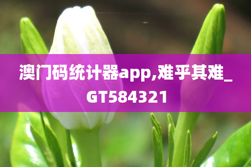 澳门码统计器app,难乎其难_GT584321