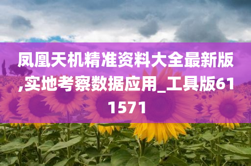 凤凰天机精准资料大全最新版,实地考察数据应用_工具版611571