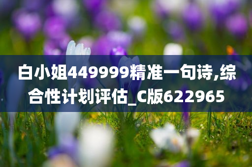 白小姐449999精准一句诗,综合性计划评估_C版622965