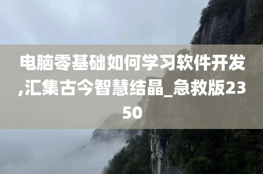 电脑零基础如何学习软件开发,汇集古今智慧结晶_急救版2350