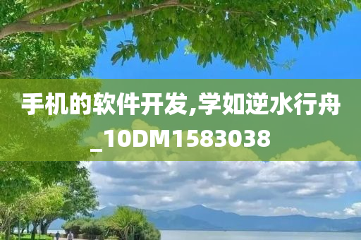 手机的软件开发,学如逆水行舟_10DM1583038