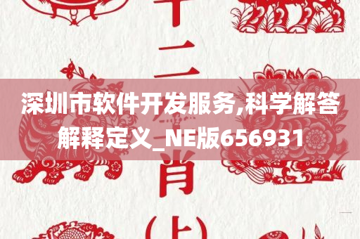 深圳市软件开发服务,科学解答解释定义_NE版656931