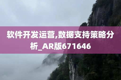 软件开发运营,数据支持策略分析_AR版671646