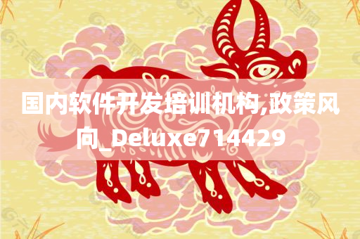 国内软件开发培训机构,政策风向_Deluxe714429