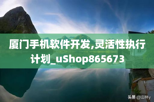 厦门手机软件开发,灵活性执行计划_uShop865673