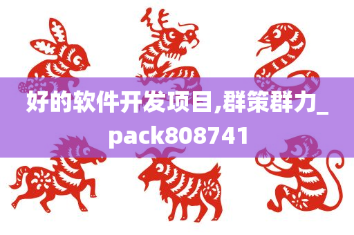 好的软件开发项目,群策群力_pack808741